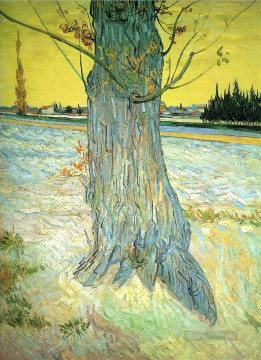 ヴィンセント・ヴァン・ゴッホ Painting - 古いイチイの木の幹 フィンセント・ファン・ゴッホ